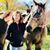 Denise Shimek's profile image