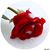 Michelle N Erik Frey's profile image