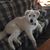 Dawn Worrell's profile image