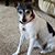 Kelly Caudill's profile image
