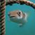 Susan Blackwell-Nichols's profile image