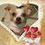 Wendi Marie Harris's profile image