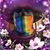 Chris Erickson's profile image