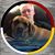 Philip Hamel's profile image