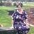 Kimberly Dineen's profile image