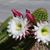 Barbara Dunson's profile image