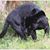 Elsworth Simon's profile image