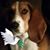 Shirley L. Marshall's profile image