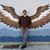 Ron Echeverri's profile image