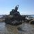 Sadie Steinhoff's profile image