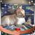 Norma J. Czarnik's profile image