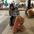 Sherry Benigno's profile image