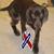 Shawna Ensley's profile image