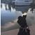 Patty Eberhardt's profile image