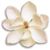 Casa M Lu's profile image
