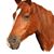Jackie Gartner's profile image