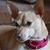 Mary Lois Dougherty's profile image