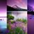 Suvella Bunch's profile image