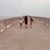 Luis Fernando Padron's profile image