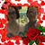 Lisa Brown's profile image