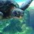 Sondra Gohlke's profile image