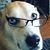 Kelley Winters's profile image