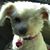 Diana Edwards's profile image