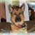 Dawn Lauer's profile image