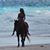 Linda Story's profile image