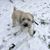 Mary Beth Dornbirer Locke's profile image