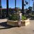 Linda Sievers's profile image