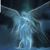 Amanda K. Wenke's profile image