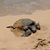 Candy VanDyke's profile image