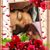 Carlos Mazariego's profile image