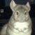 Christina Marie's profile image