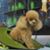 Terri Lambertson's profile image