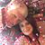 Rhonda Bland Cook's profile image