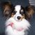 Brenda Shumate's profile image
