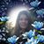 Donna Stephens's profile image