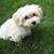 Aruna Sooknarine's profile image