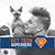 Christopher C King's profile image