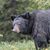 Brandi L Jones's profile image