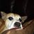 Kim DeMartinis Klipfel's profile image
