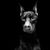 Vic N Sara JimIra's profile image