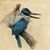 Jill Shaw's profile image