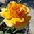 Olaf Braunert's profile image