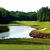 The Tillery Tradition's profile image