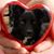 Kimberly M Wagner's profile image