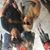 Natalie Schirm-Olson's profile image