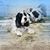 Marco Egocentro Marzo's profile image